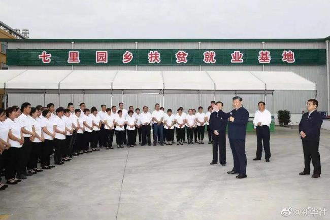 習(xí)近平：進(jìn)一步發(fā)展中醫(yī)藥(圖6)