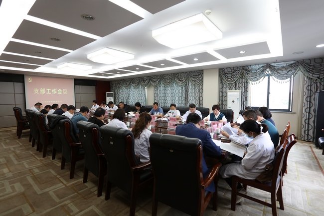 【黨史學習教育】夯實基層支部建設   推進黨史學習教育 ——我院召開支部書記工作會議(圖2)
