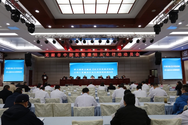 我院召開醫(yī)療機(jī)構(gòu)工作人員廉潔從業(yè)行動(dòng)教育動(dòng)員會(huì)(圖1)