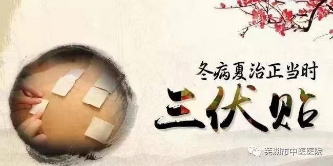 蕪湖市中醫(yī)醫(yī)院三伏貼來(lái)啦！冬病夏治的法寶(圖1)