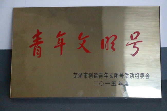 我院新院區(qū)腫瘤科、ICU被新授予市級“青年文明號”(圖1)