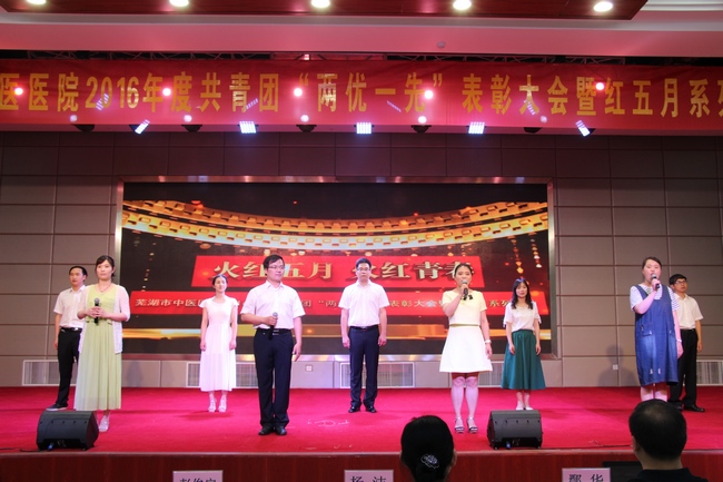 我院舉辦共青團2016年度“兩優(yōu)一先”表彰大會暨 紅五月系列活動(圖11)