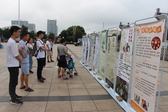 中醫(yī)藥法頒布一周年——我市舉行中醫(yī)中藥中國行.蕪湖站大型中醫(yī)藥健康文化活動(圖3)