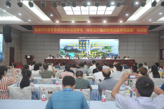 守正創(chuàng)新 弘揚國粹——蕪湖市針灸學(xué)會正式成立(圖1)