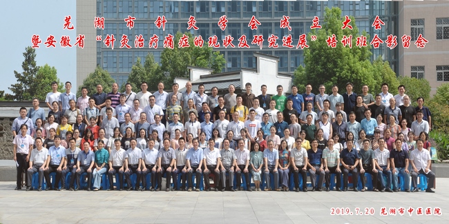 守正創(chuàng)新 弘揚國粹——蕪湖市針灸學(xué)會正式成立(圖12)
