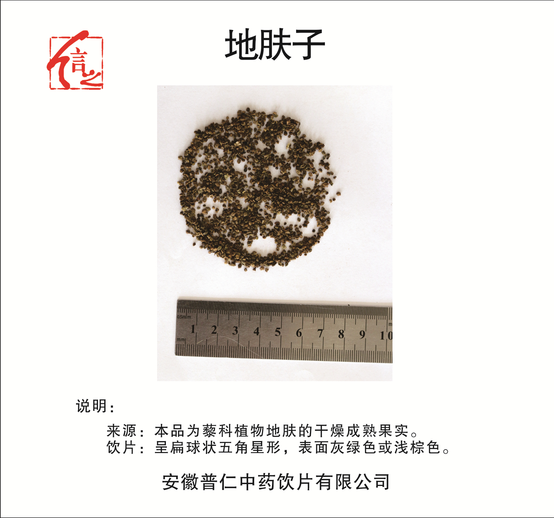 地膚子.jpg