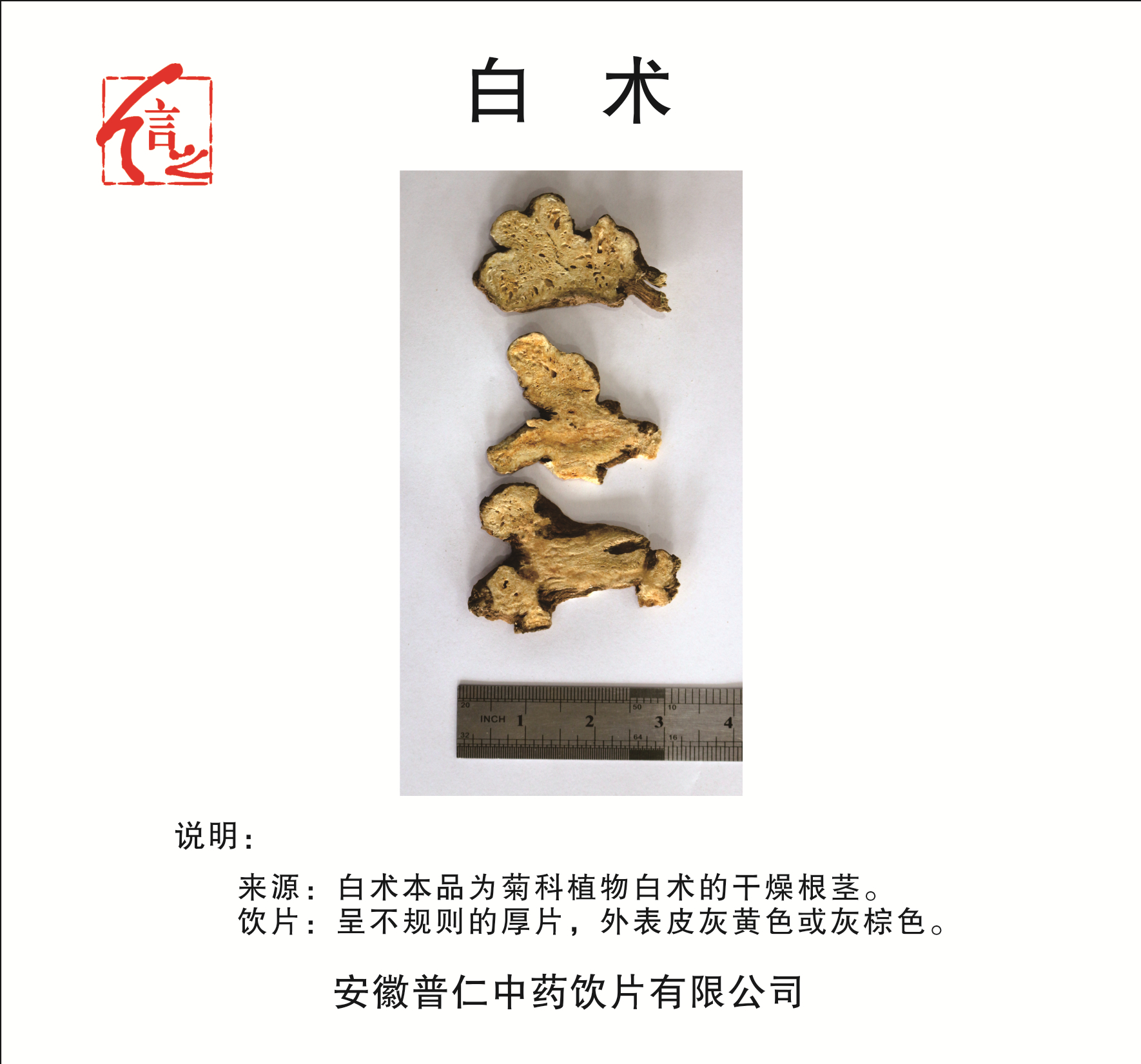 白術(shù).jpg