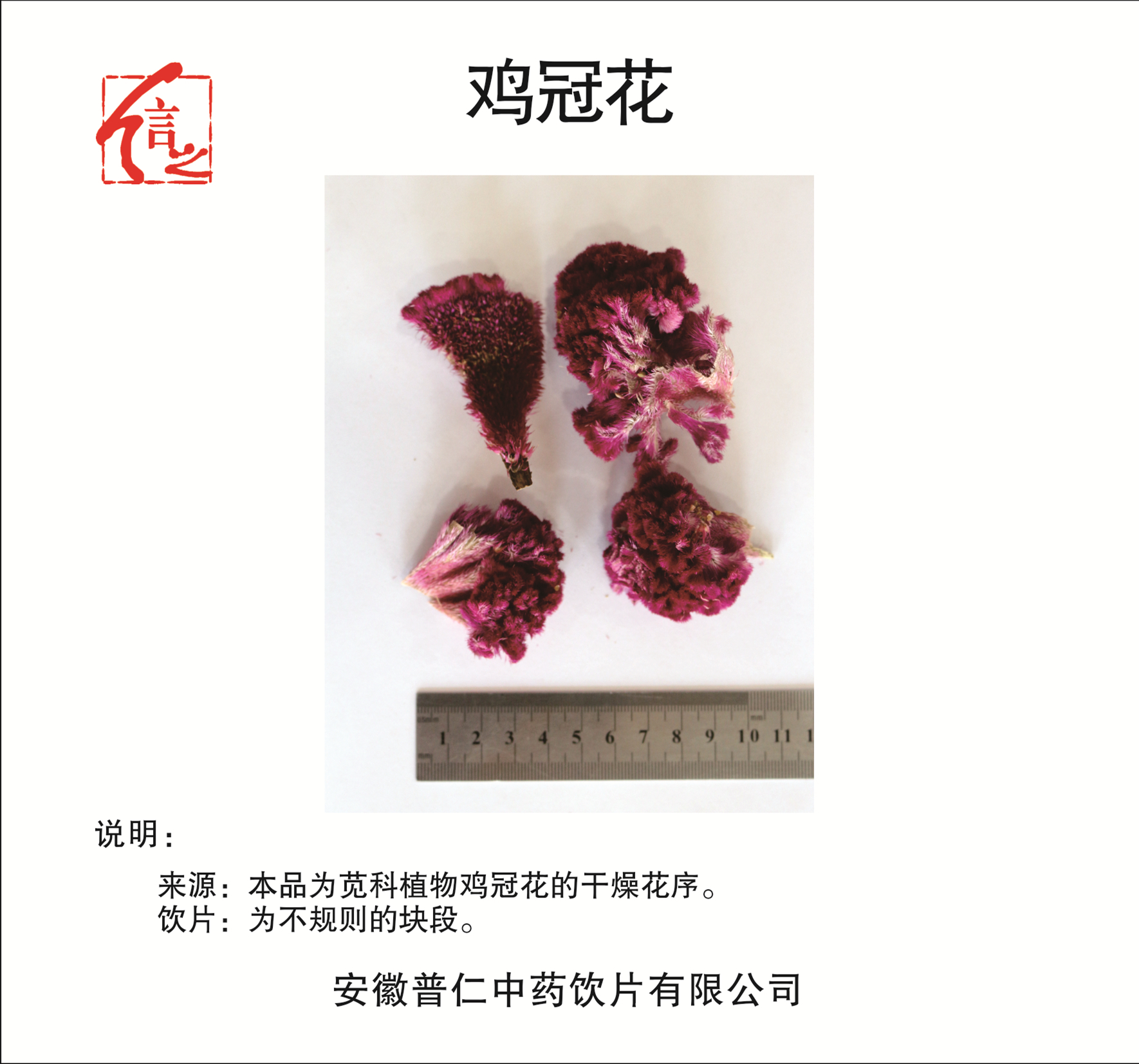 雞冠花.jpg