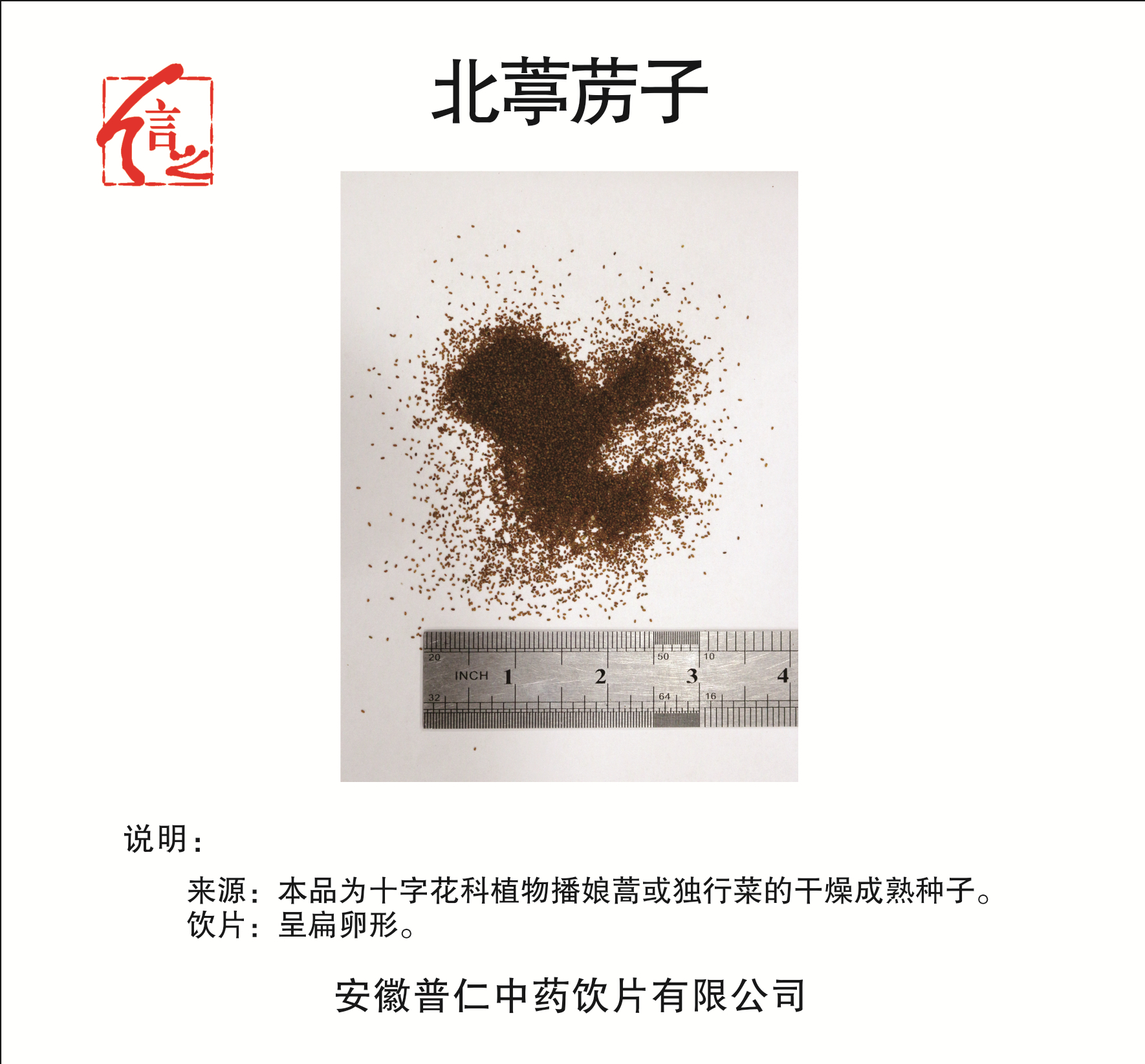 北葶藶子.jpg