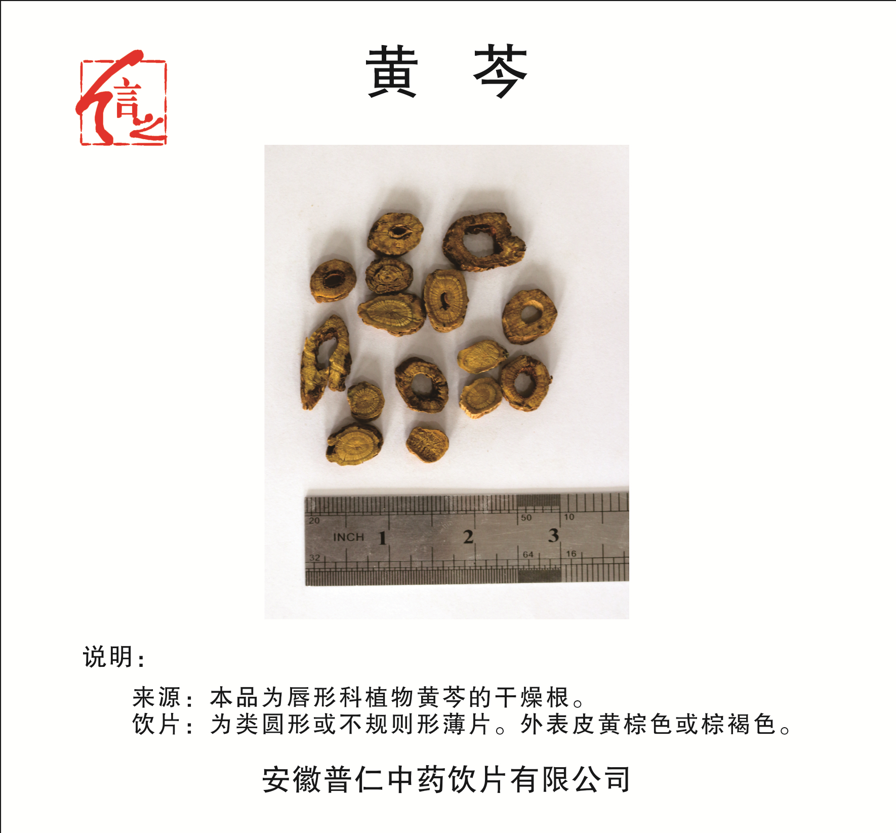 黃芩.jpg