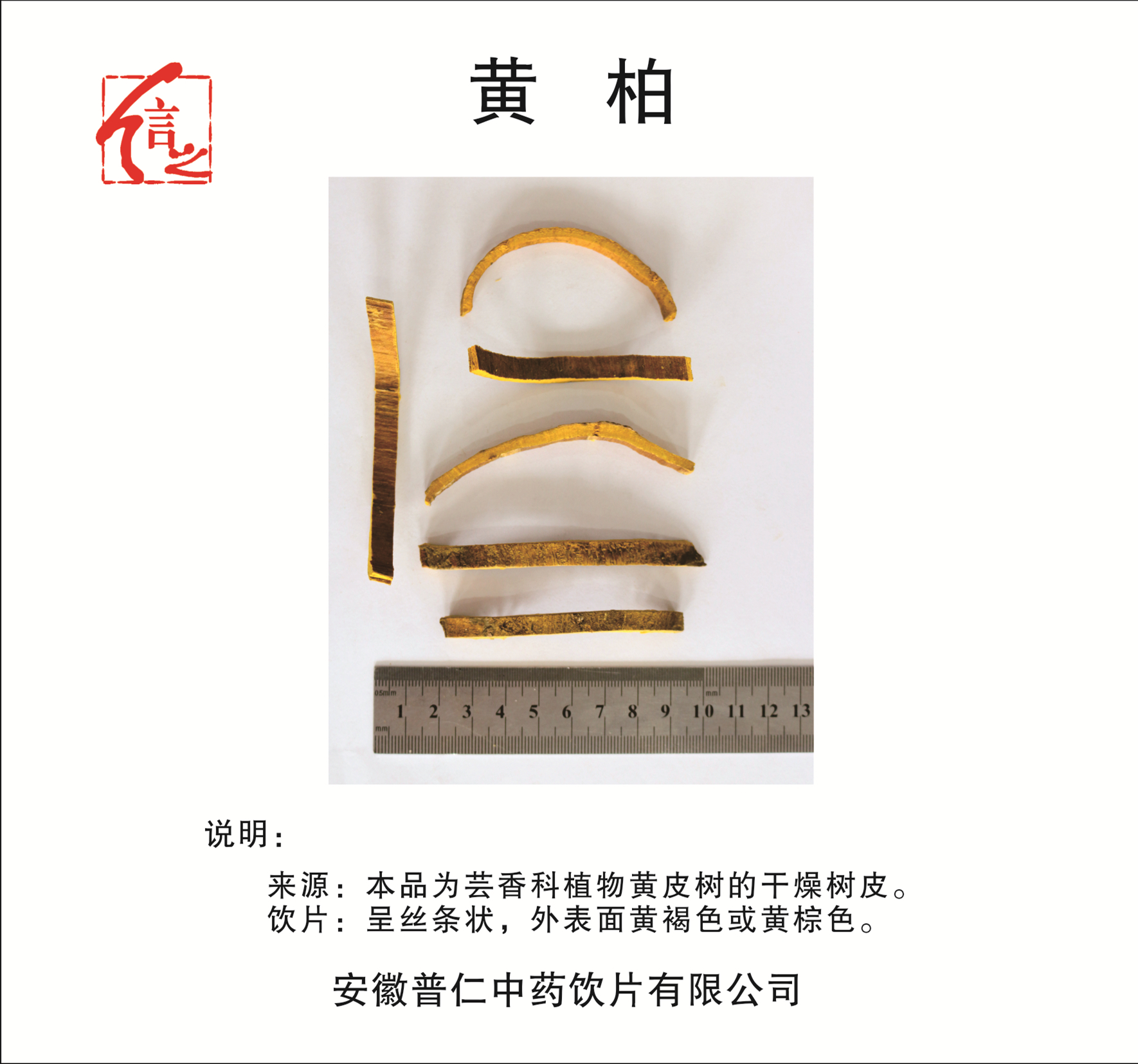 黃柏.jpg
