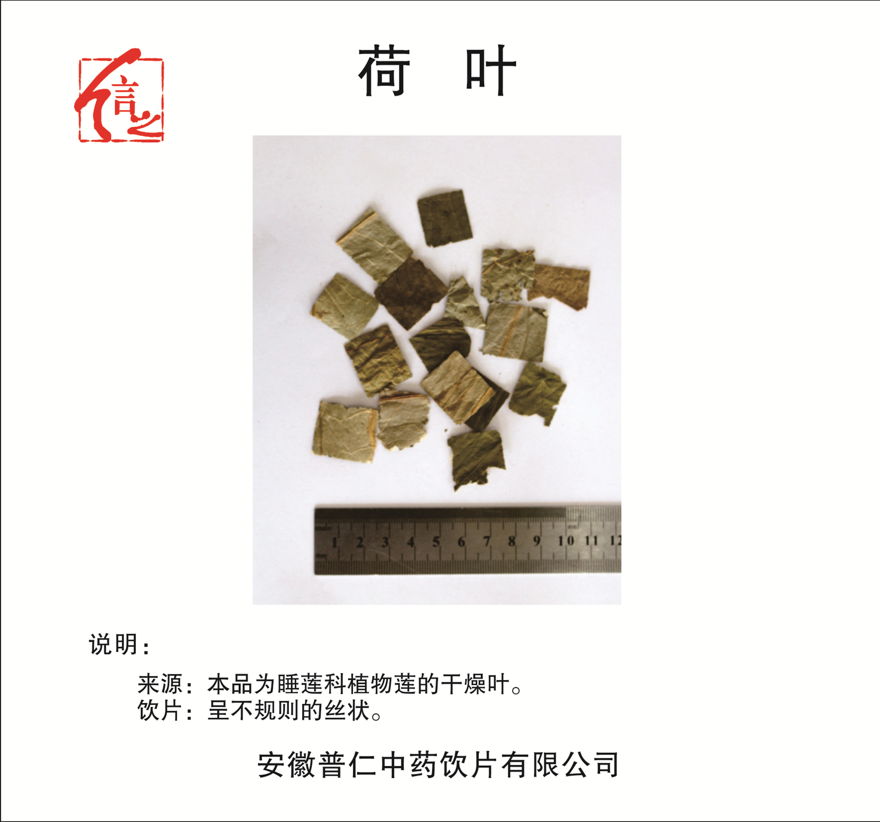 荷葉.jpg