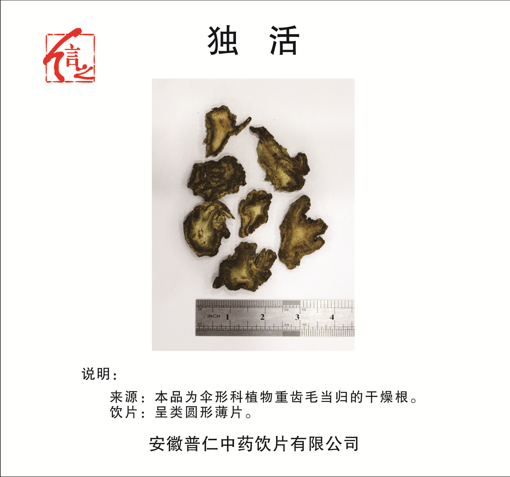 獨(dú)活.jpg
