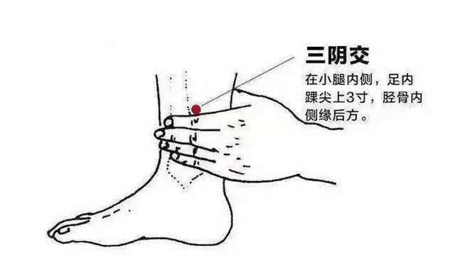 圖片5 (復(fù)制).jpg