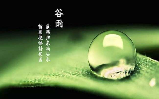 圖片1 (復(fù)制).jpg