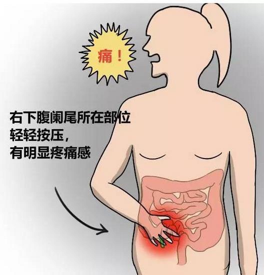 1 (復(fù)制).jpg