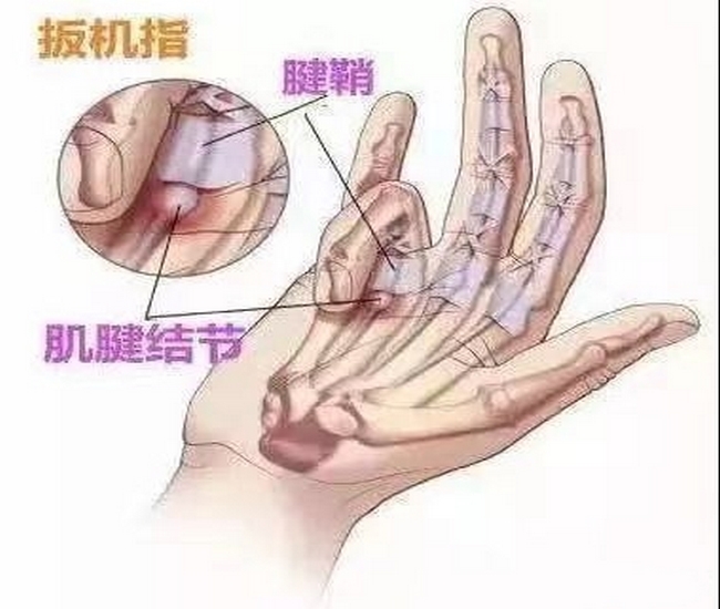 圖片3 (復制).jpg