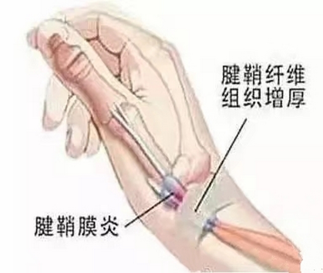 圖片1 (復制).jpg