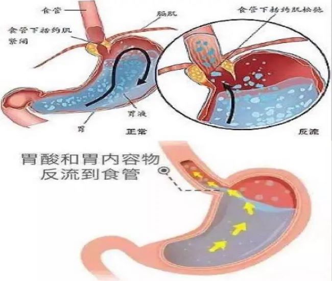 圖片1 (Copy).jpg