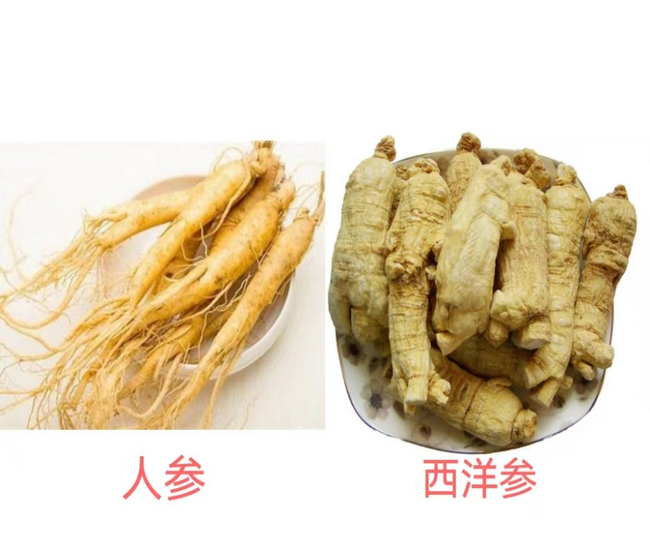 圖片14 (Copy).png