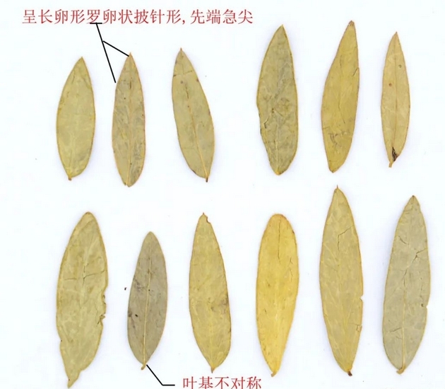 圖片2 (復(fù)制).jpg