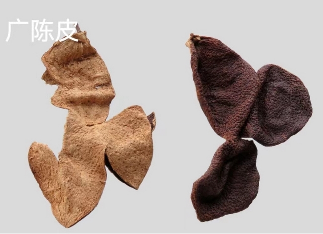 圖片4 (復制).jpg
