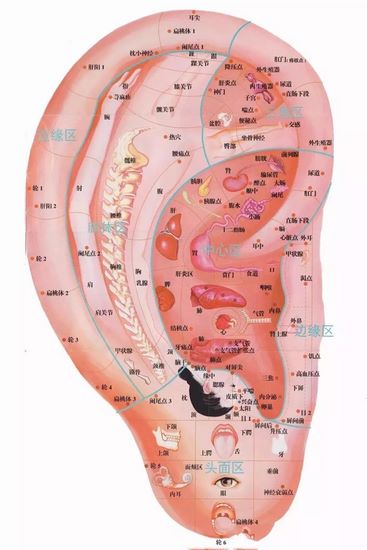 圖片8 (復制).jpg
