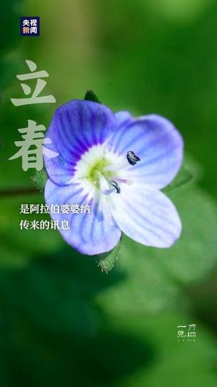 圖片9 (復制).jpg