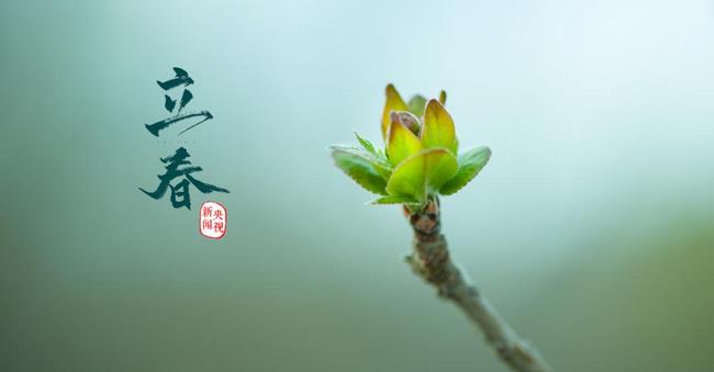 圖片1 (復制).jpg