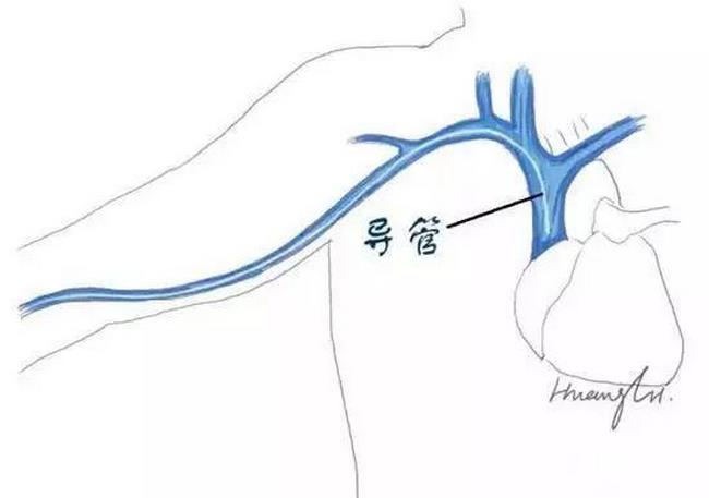 圖片1 (復制).jpg