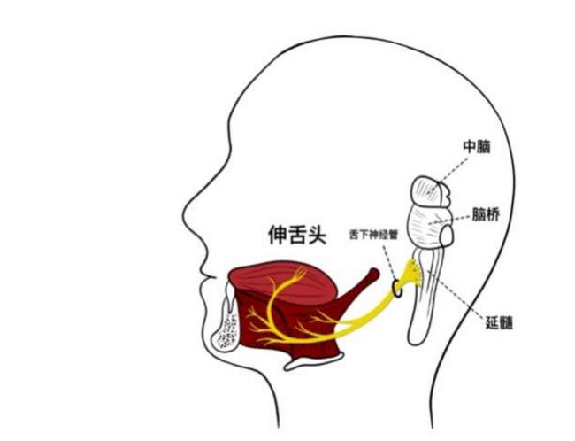 圖片3 (復制).jpg