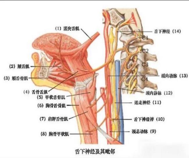 圖片4 (復制).jpg