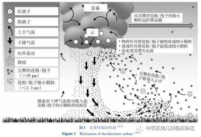 2 (復制).jpg