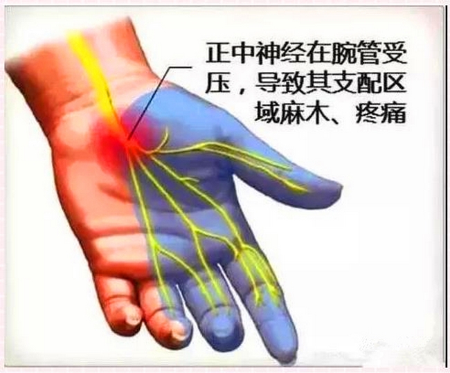 圖片2 (復制).jpg