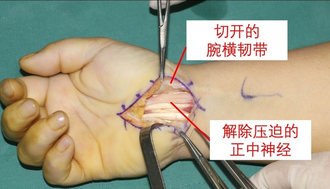 圖片4 (復制).jpg