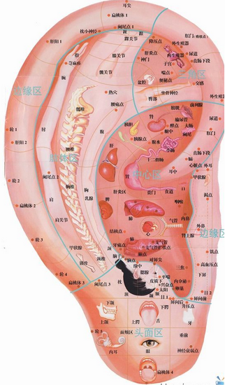 圖片1 (Copy).png