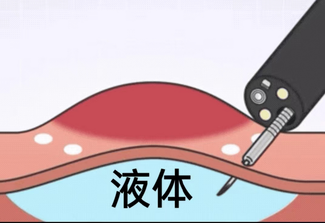 圖片7 (Copy).png