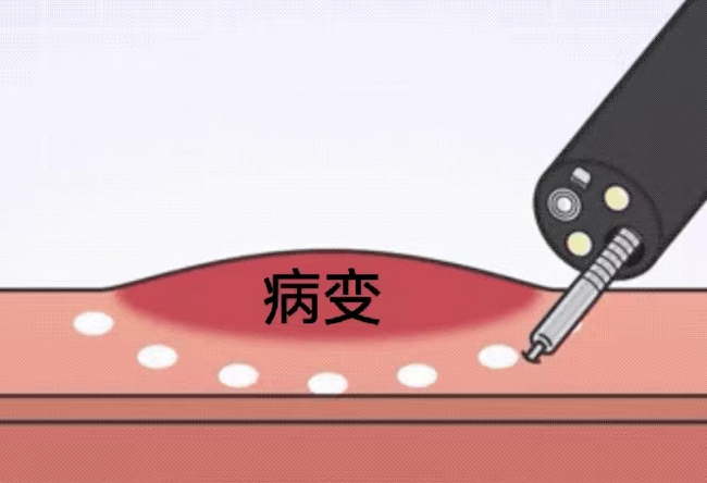 圖片6 (Copy).png