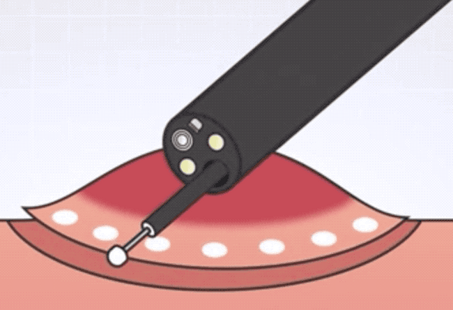 圖片8 (Copy).png