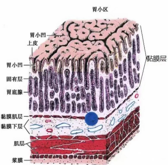 圖片3 (Copy).png
