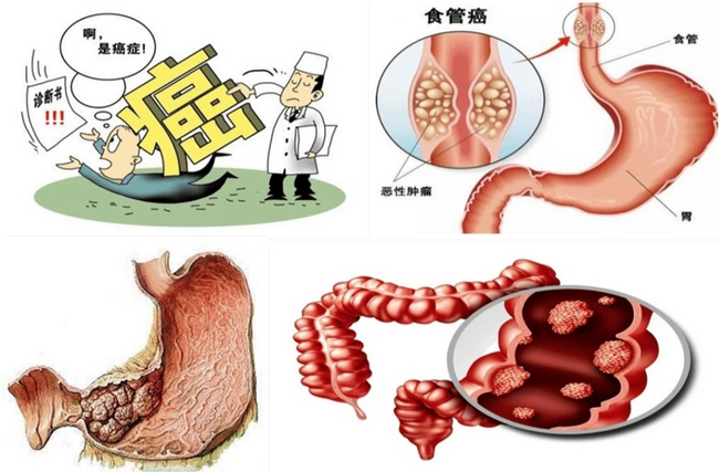 圖片1 (Copy).png
