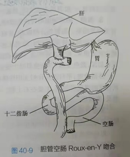 53 (Copy).png