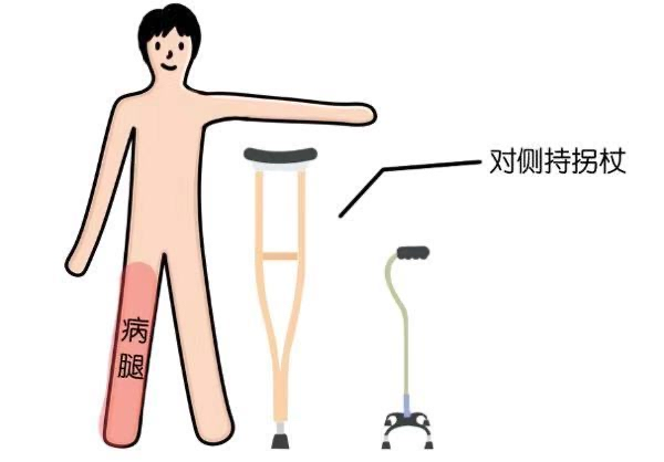 拐杖的“左右為難”——您會(huì)正確使用拐杖嗎？(圖2)