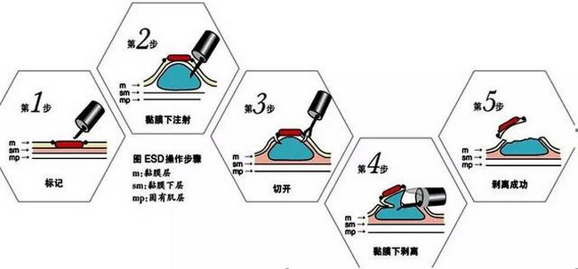 48 (Copy).png