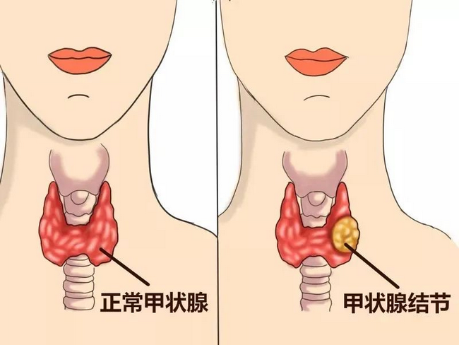 圖片1 (Copy).png