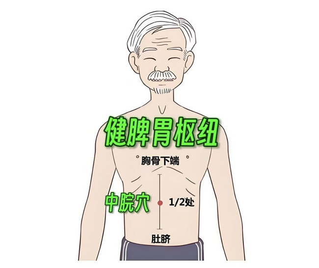 中脘穴1 (Copy).jpg