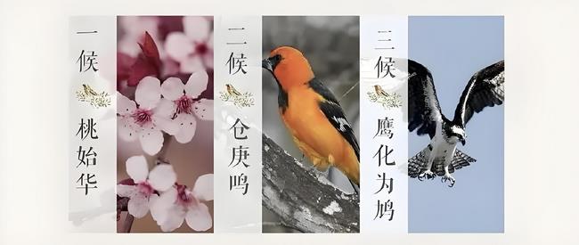 驚蟄三候 (Copy).jpg